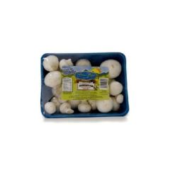 CHAMPINONES_GREEN_VALLEY_FRESC_ENT_330G