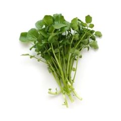 BERRO JEAN DAVID 150G