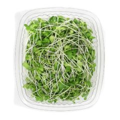 BROCOLI ARAUAK MICROGREENS 25G
