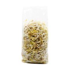 BROTES DE FRIJOL CHINO ARAUAK 250G