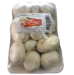 HONGOS EXPRESS PARIS 400G