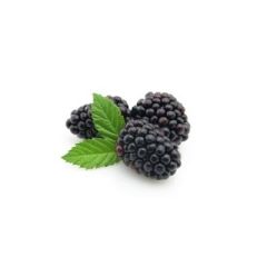 MORAS